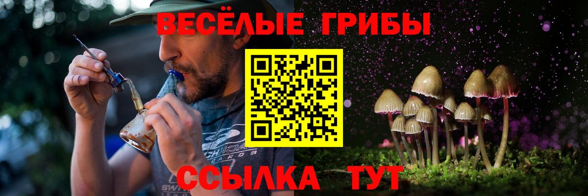 Галлюциногенные грибы прущие грибы  Вход с VPN  Брянск 